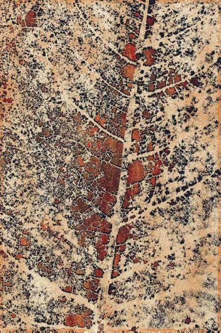 Koberec Agnella Isfahan Alnus medený