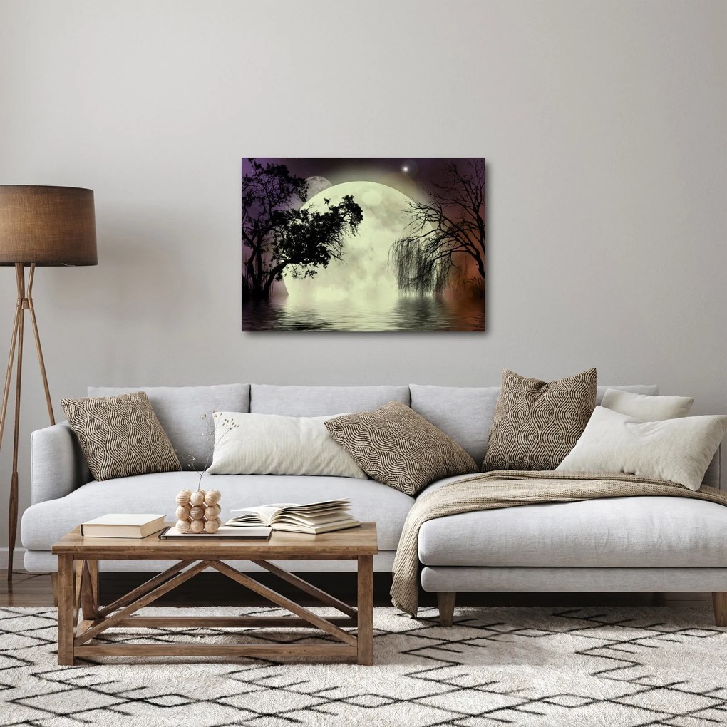 Obraz - Spln nad hladinou (70x50 cm)