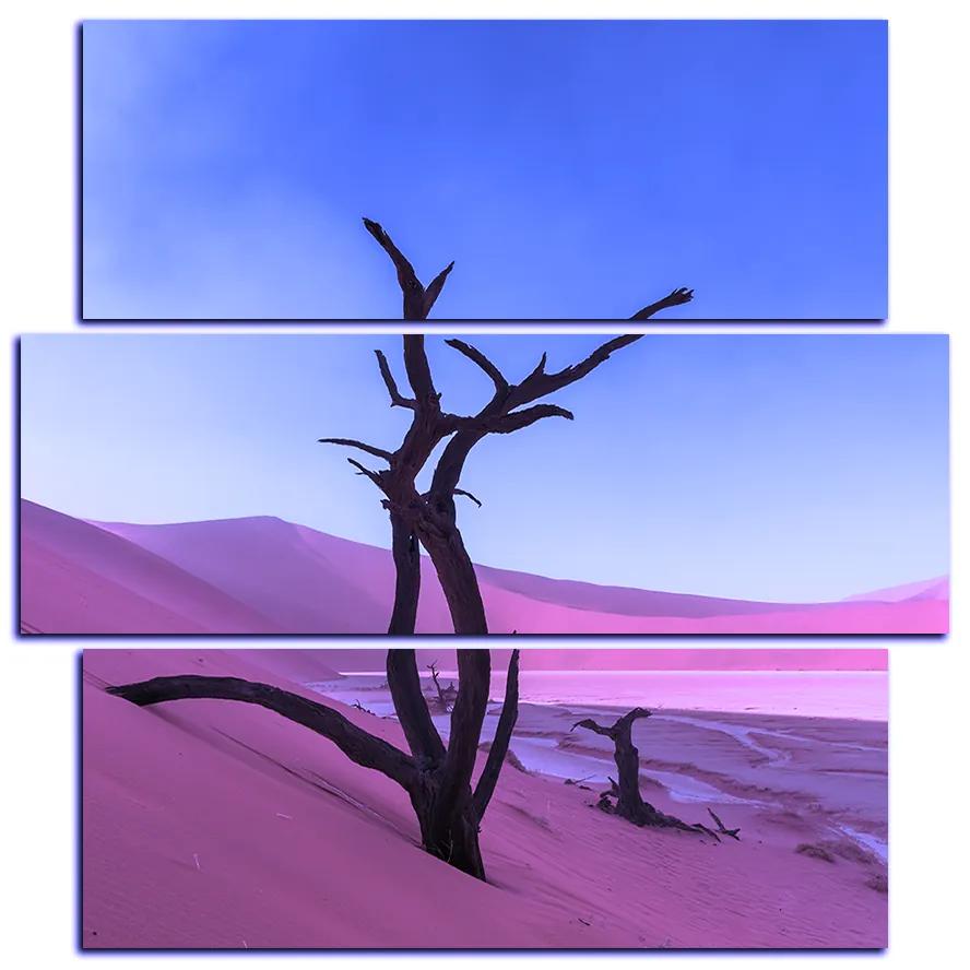Obraz na plátne - Mŕtvy strom v dunach - štvorec 3130FD (105x105 cm)