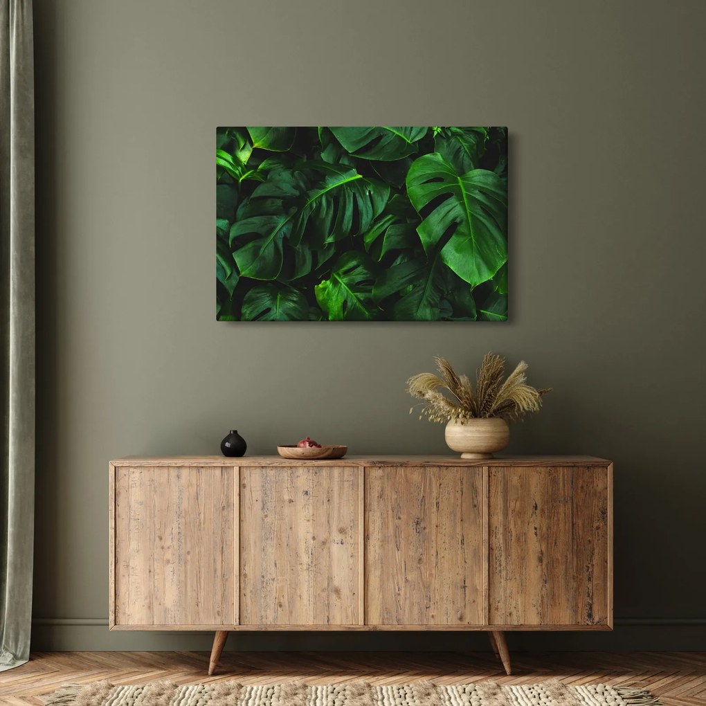 Obraz listov Monstery (90x60 cm)