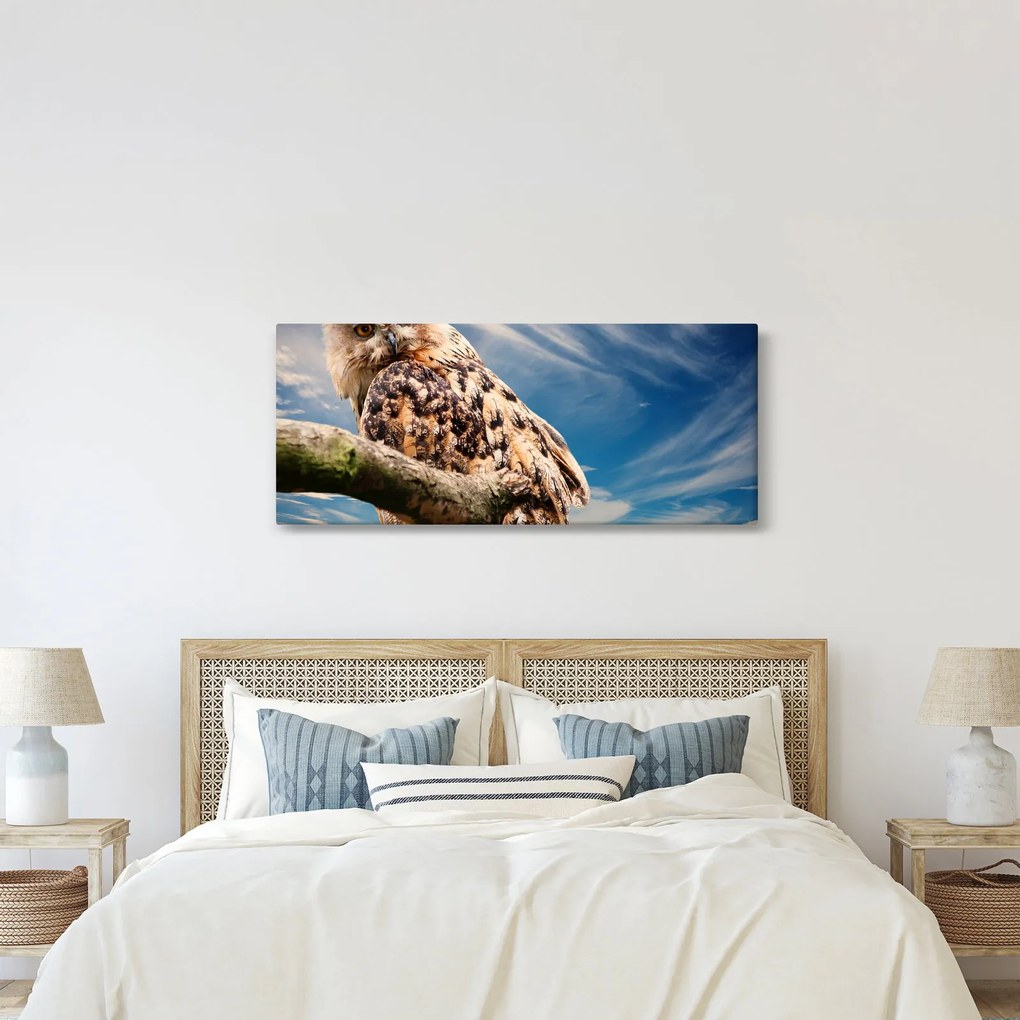 Obraz sovy (120x50 cm)