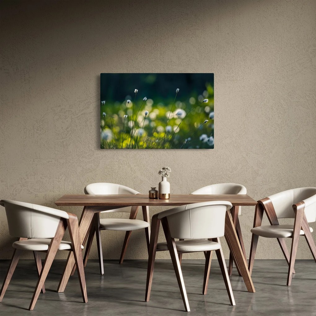 Obraz - Tráva (90x60 cm)