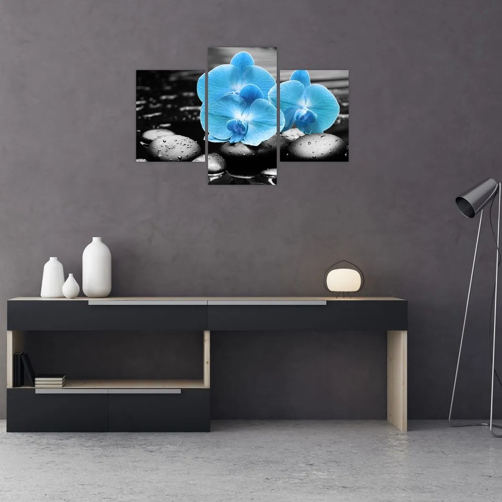 Obraz - Modrá orchidea (90x60 cm)