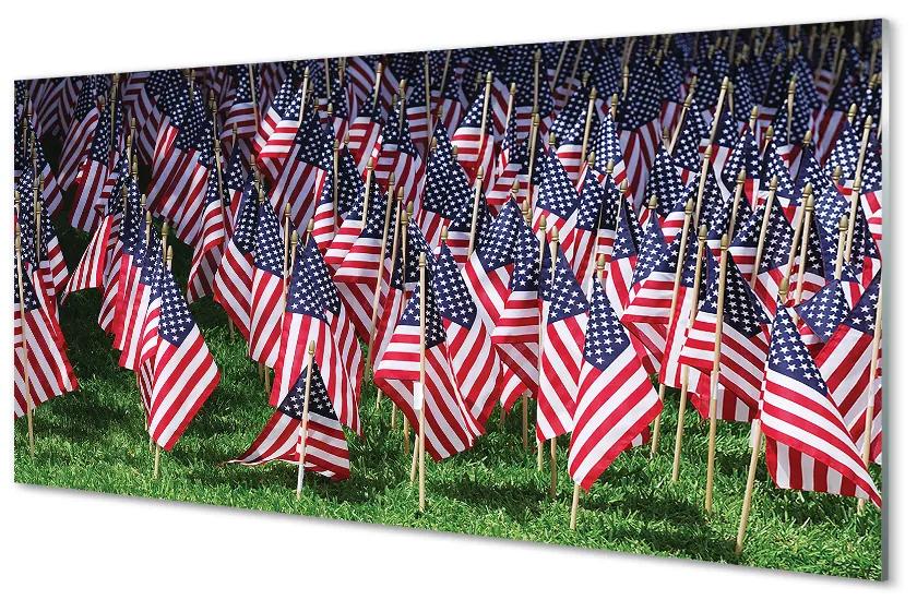 Obraz plexi Usa vlajky 100x50 cm