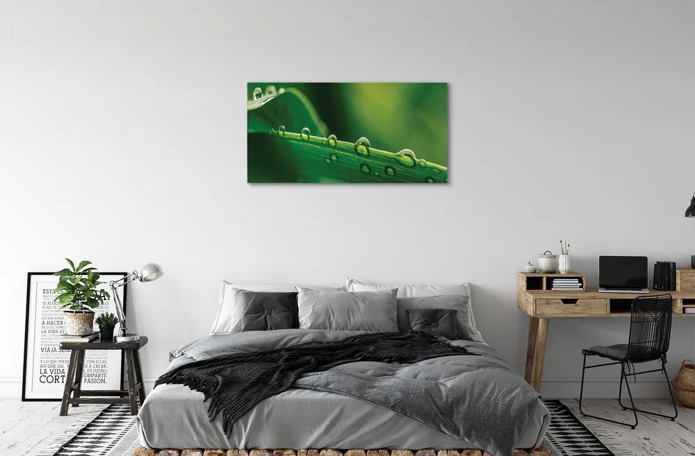 Obraz canvas Kvapky tráva makro 120x60 cm
