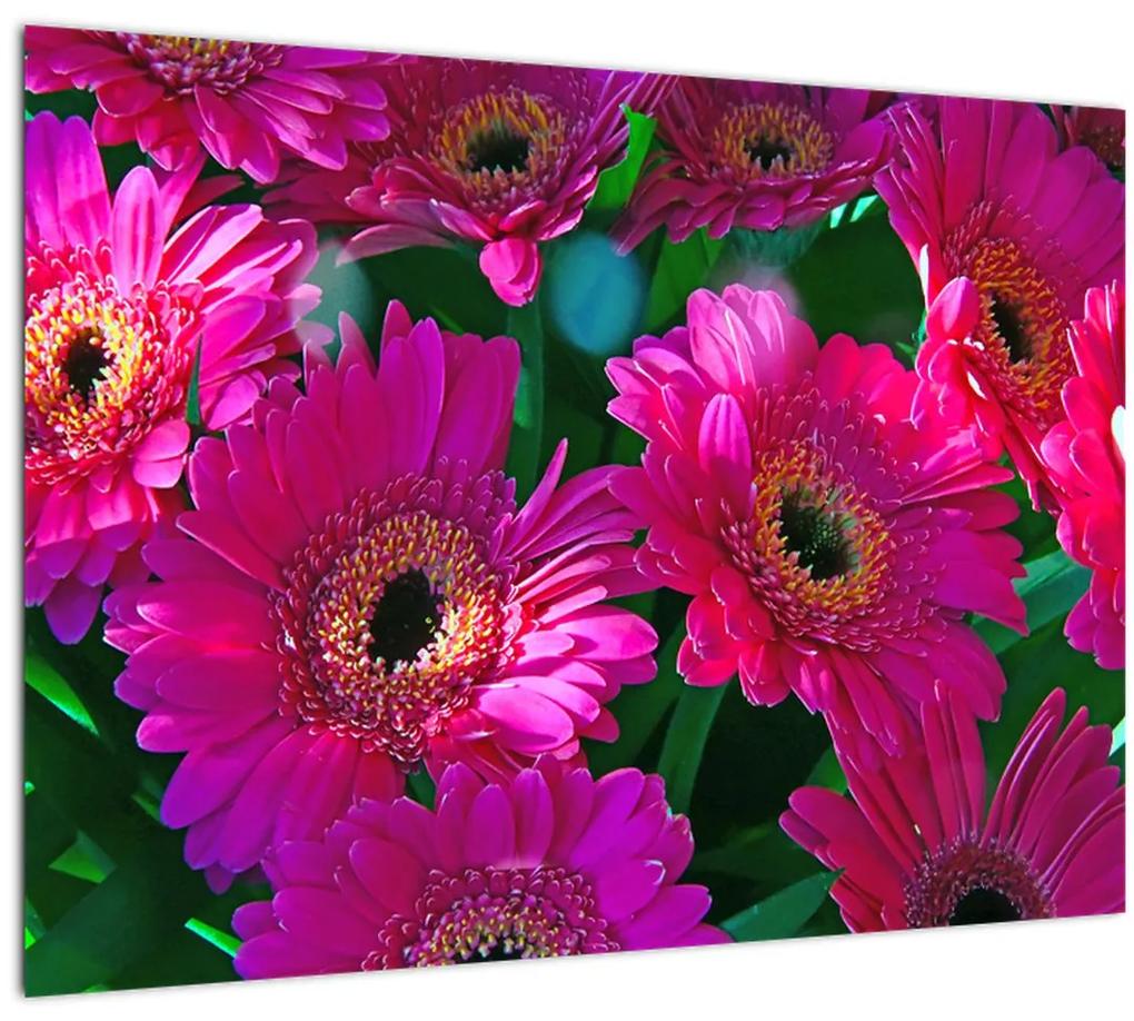 Sklenený obraz - kvety (70x50 cm)