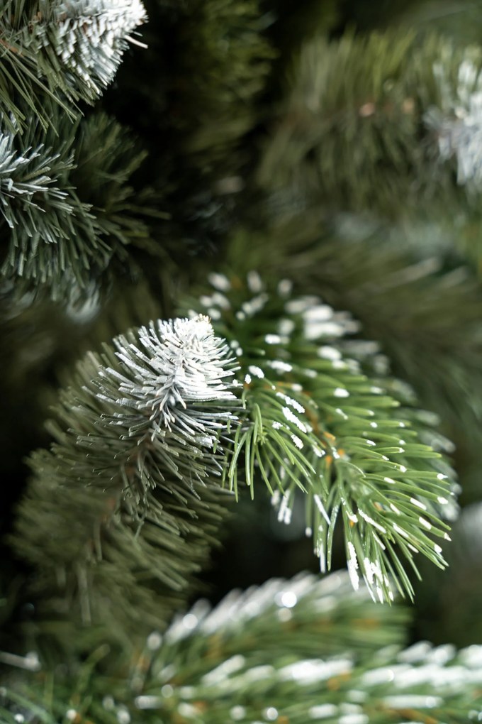 Limpol Vianočný stromček borovica Lamia 170 cm