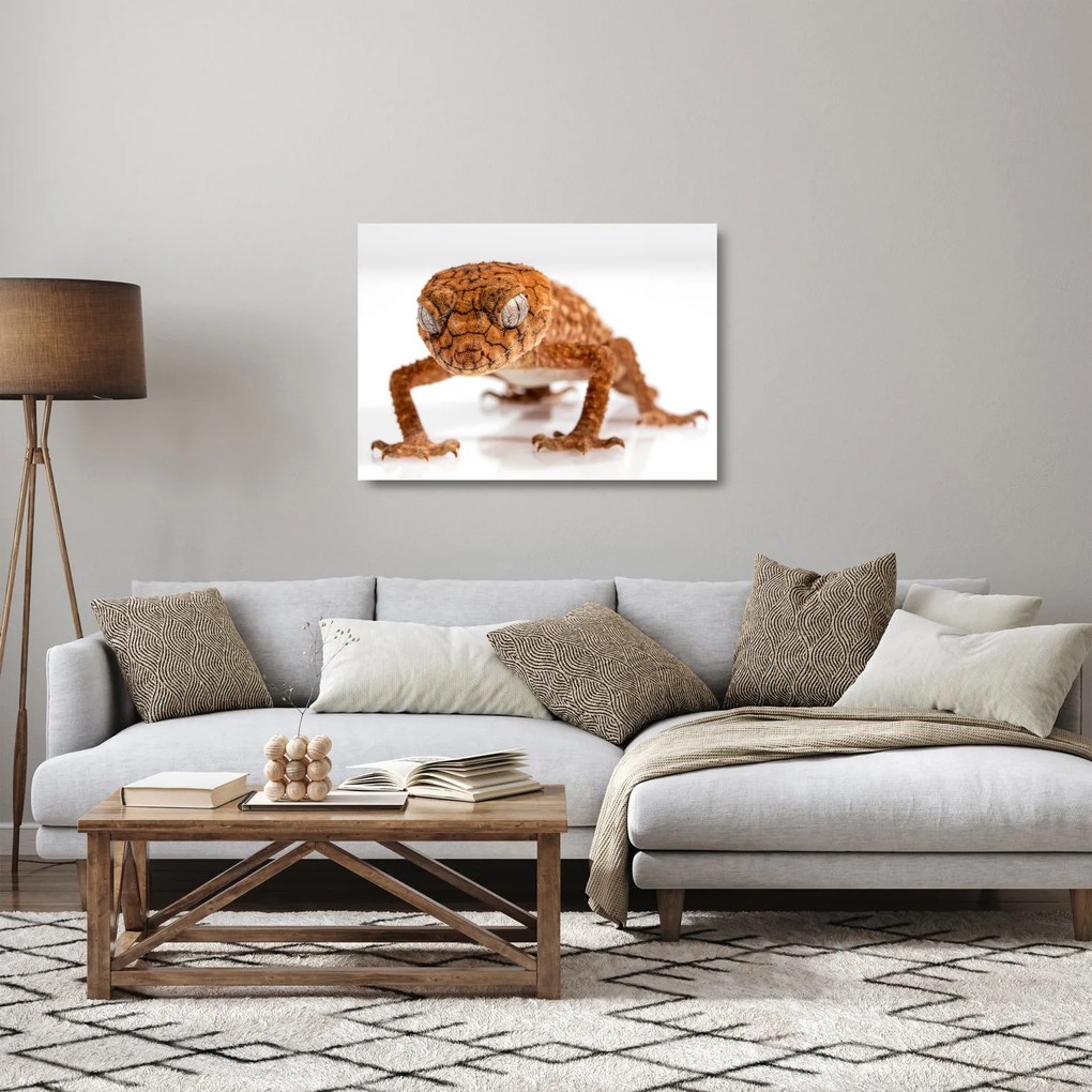 Sklenený obraz jašterice (70x50 cm)
