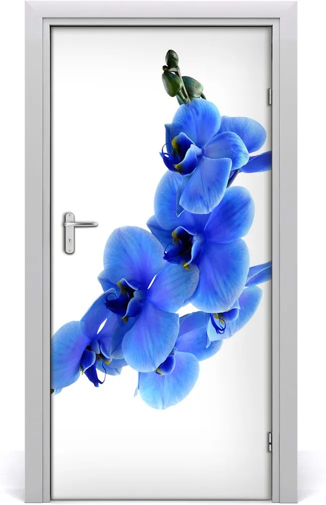 Fototapeta samolepiace  modrá orchideami