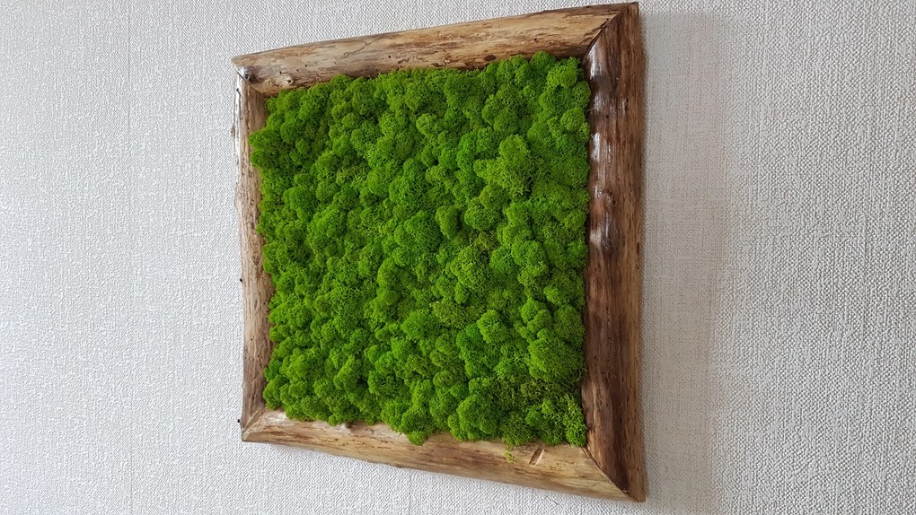 Machový obraz v masívnom ráme: 50cm x 50cm