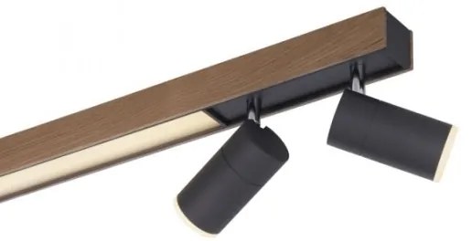 Paul Neuhaus 6121-79 - LED Stmievateľné svietidlo PURE 4xLED/4W/230V + LED/9W + DO