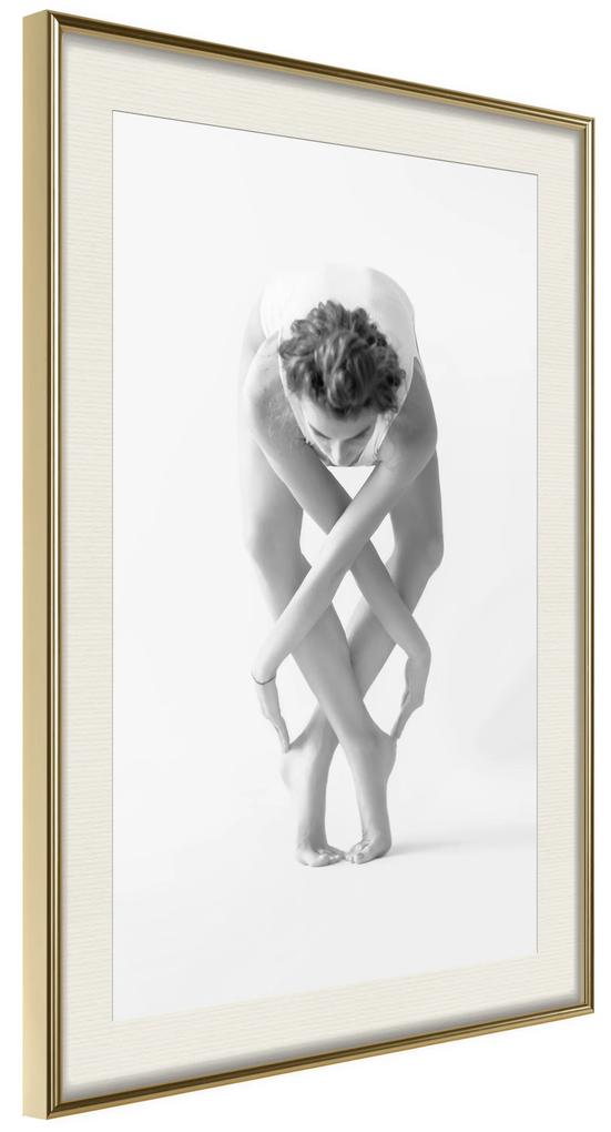 Artgeist Plagát - Ballet [Poster] Veľkosť: 30x45, Verzia: Zlatý rám s passe-partout