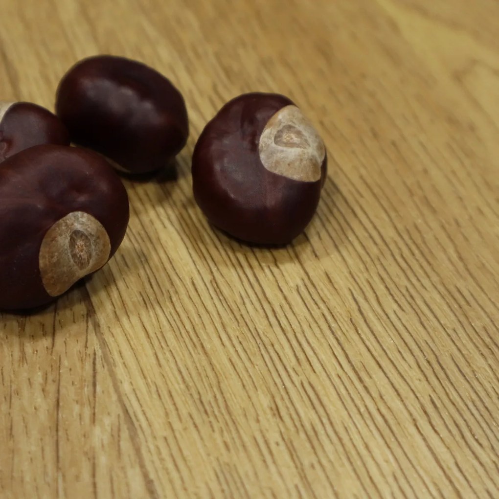 Beauflor, PVC podlaha - lino Texalino Supreme 636 L Columbian Oak - dub, na mieru, šíře 2m,3m,4m, hnedá, filc, chodba / predsieň