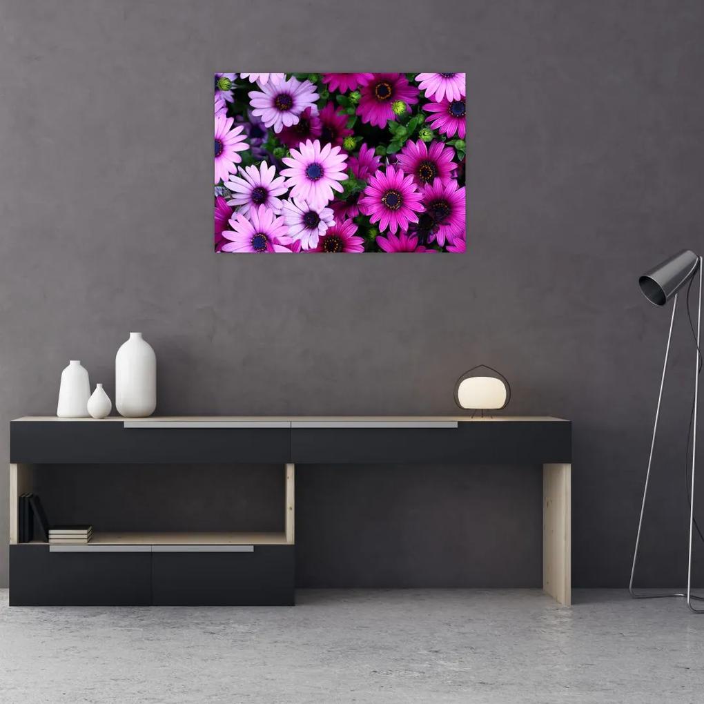 Sklenený obraz - Kvety (70x50 cm)