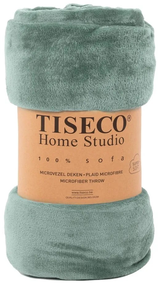 Zelená mikroplyšová deka Tiseco Home Studio, 220 x 240 cm