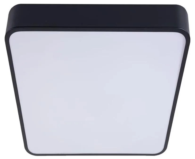 LED Stropné svietidlo FELIZ LED/50W/230V 4000K 40x60 cm čierna