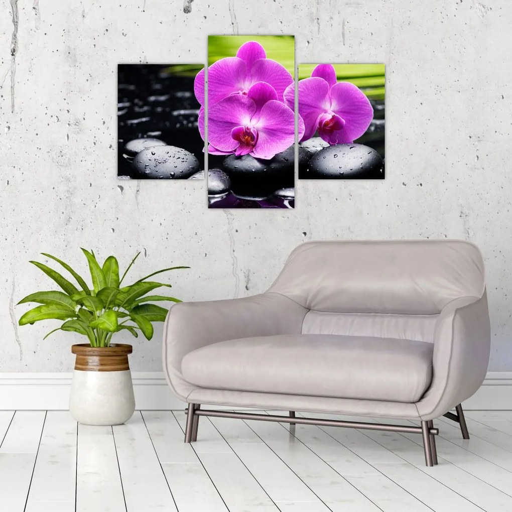 Obraz - Orchidey (90x60 cm)