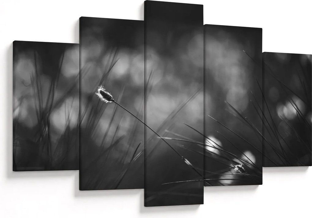 Obraz - Lúčna tráva (150x105 cm)