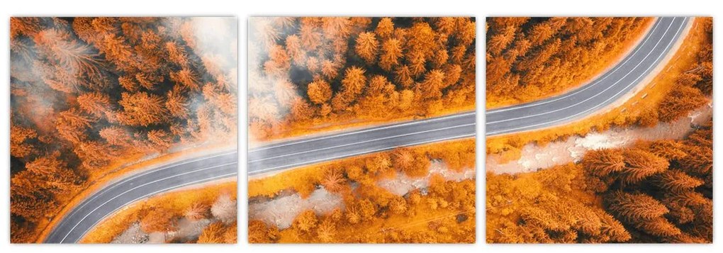 Cesta lesom - moderné obrazy na stenu