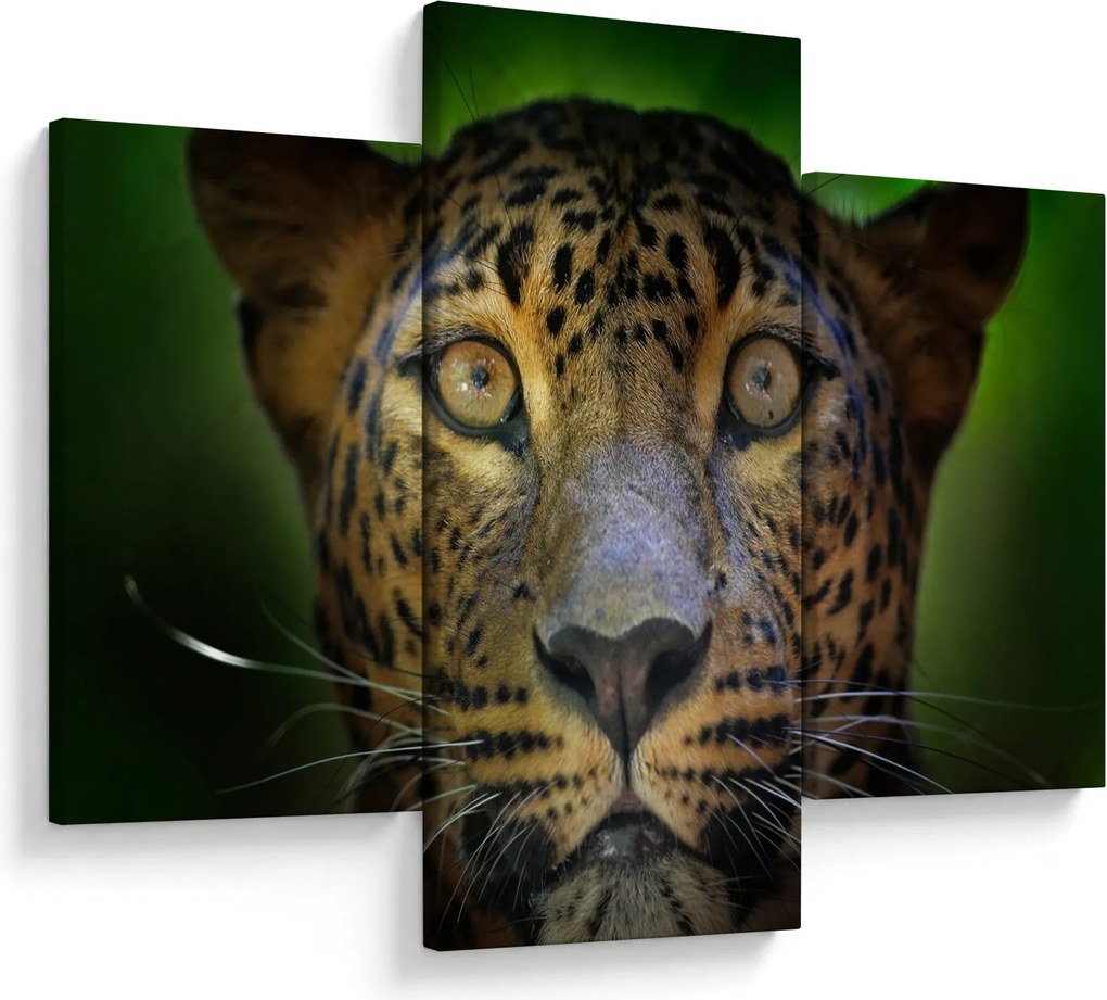 Obraz - Portrét leoparda, Sri Lanka (90x60 cm)