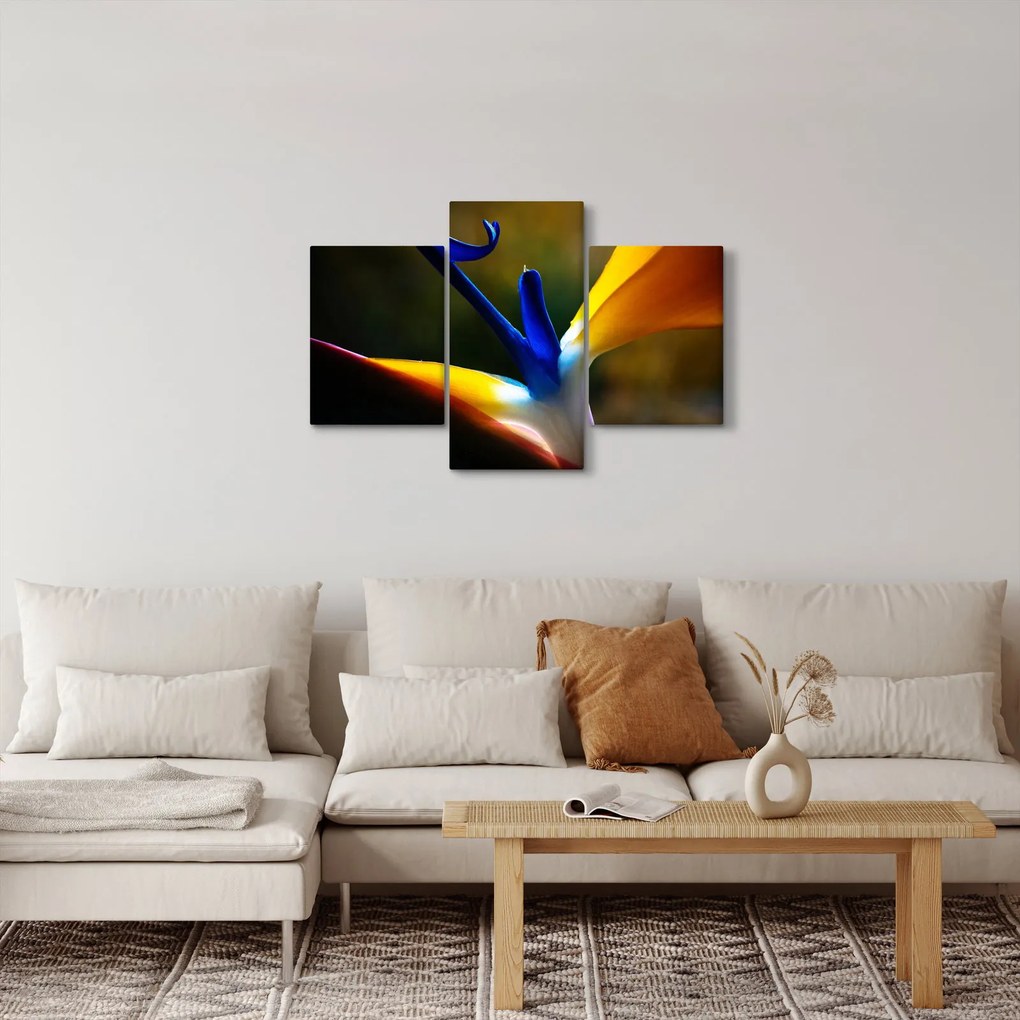 Obraz - Exotický kvet (90x60 cm)