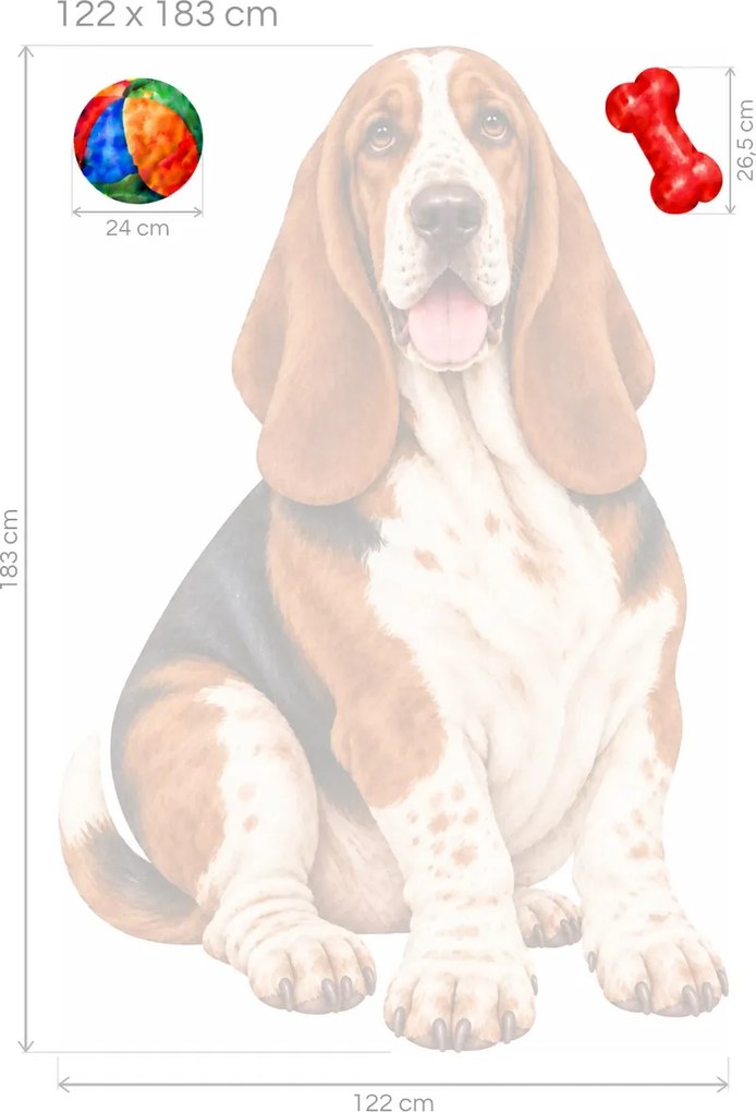 Basset hound s loptičkou a kosťou realistické nálepky na stenu do obývačky arch 31 x 46 cm