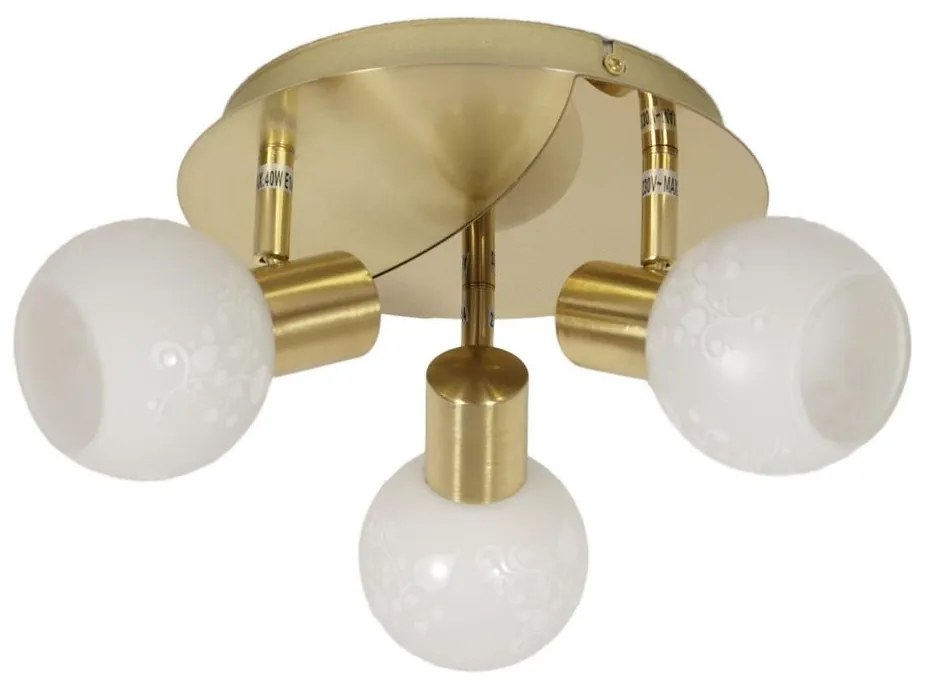 Bodové svietidlo AVILA 3xE14/40W/230V