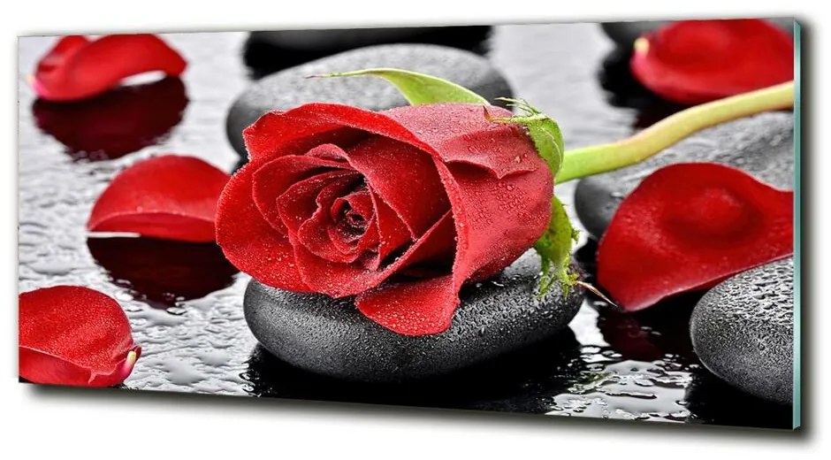 Moderné sklenený obraz z fotografie Červená ruža cz-obglass-125x50-69893127