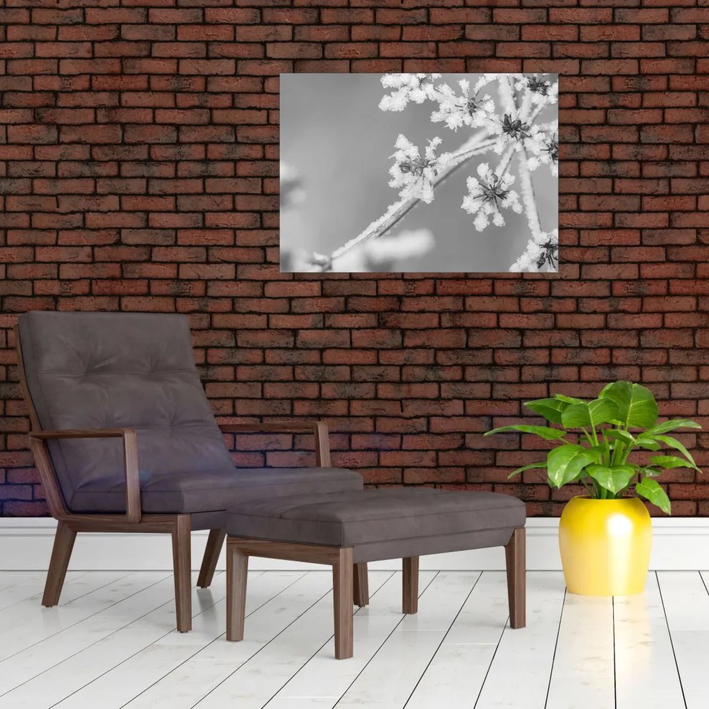 Sklenený obraz - Zamrznutá rastlina (70x50 cm)