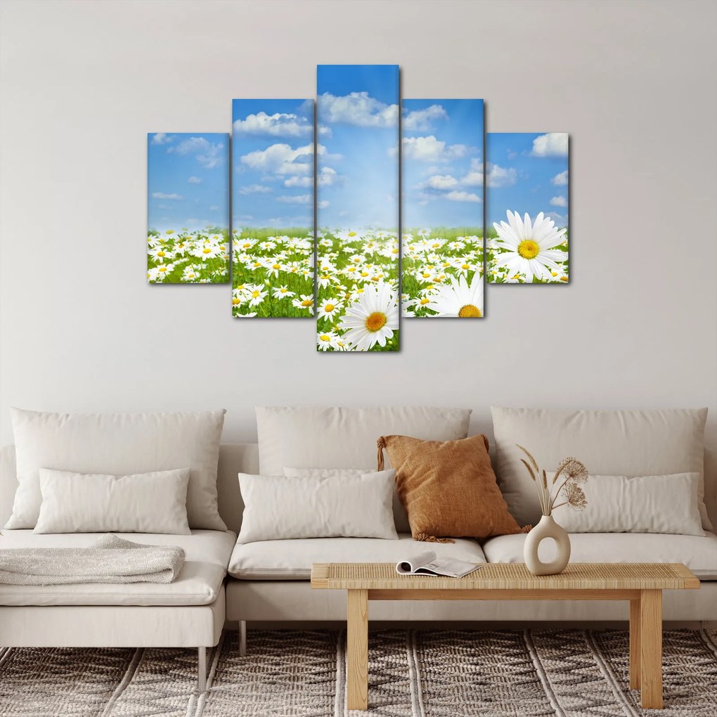 Obraz rozkvitnutej lúky s margarétkami (150x105 cm)