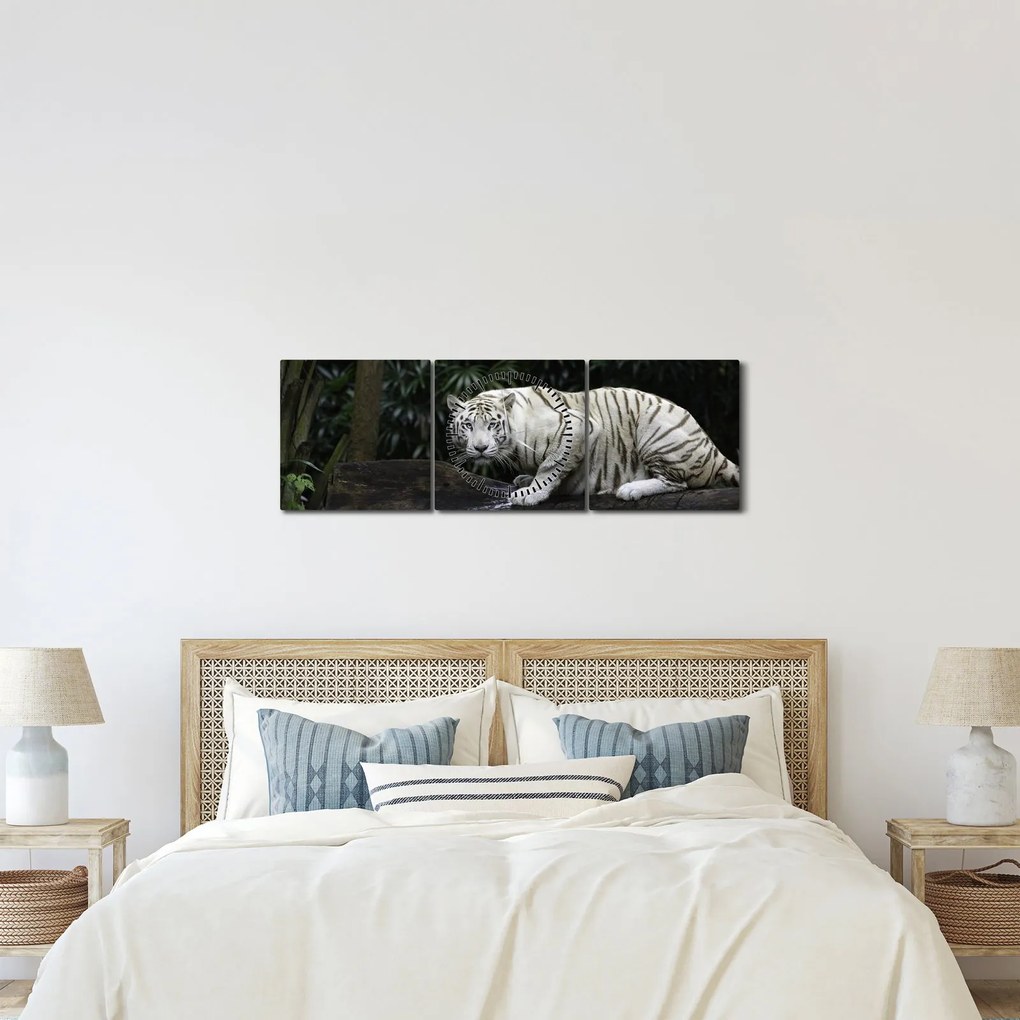 Obraz - Tiger albín (s hodinami) (90x30 cm)