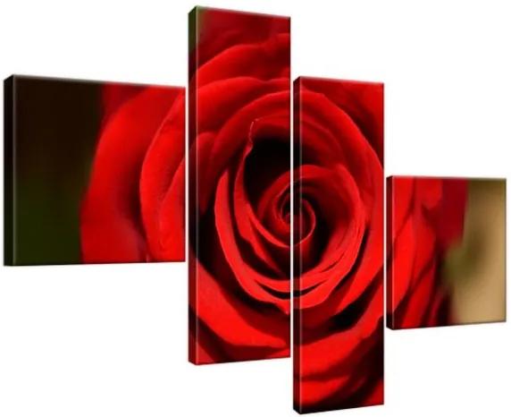Obraz na plátne Tajomná červená ruža 100x70cm 279A_4B