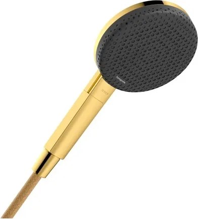 Hansgrohe Raindance Alive Select S ručná sprcha leštený vzhľad zlata 24500990