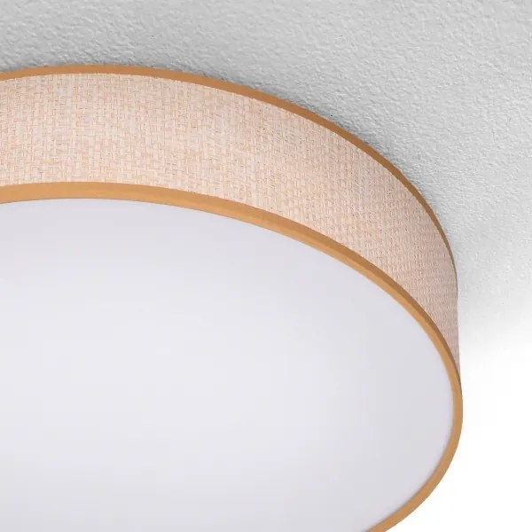 Brilagi - LED Stmievateľné stropné svietidlo CARMEN LED/48W/230V 3000-6500K + DO