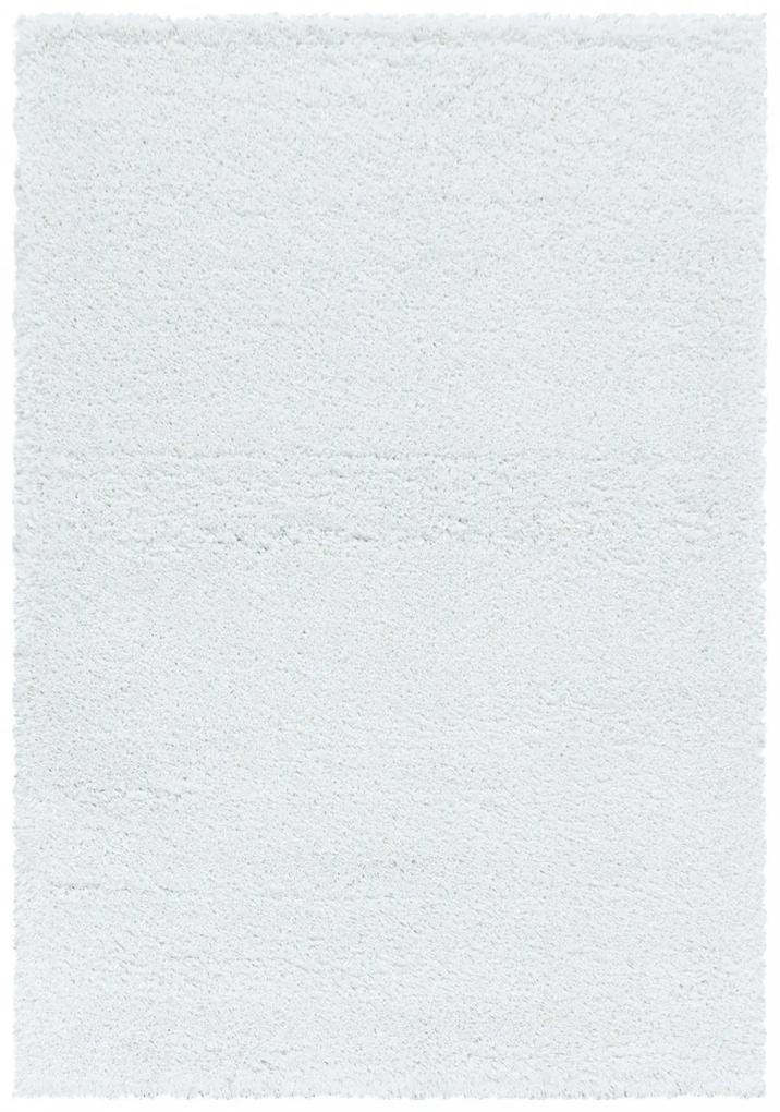 Ayyildiz koberce Kusový koberec Fluffy Shaggy 3500 white - 120x170 cm