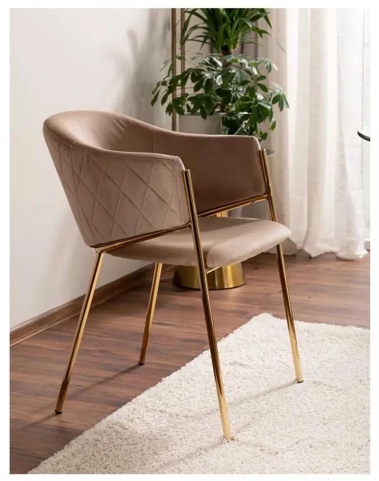 Jedálenská stolička Serilda Velvet II, béžová / zlatá