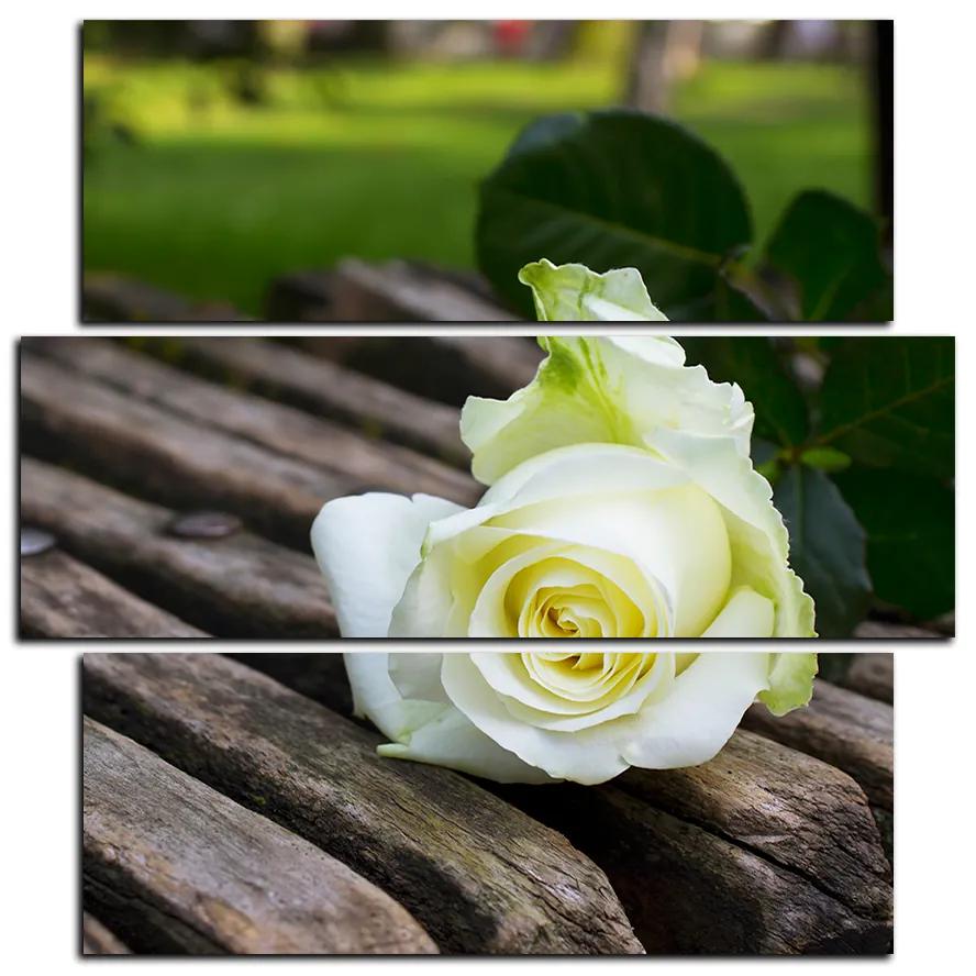 Obraz na plátne - Biela ruža na lavici - štvorec 3224D (75x75 cm)