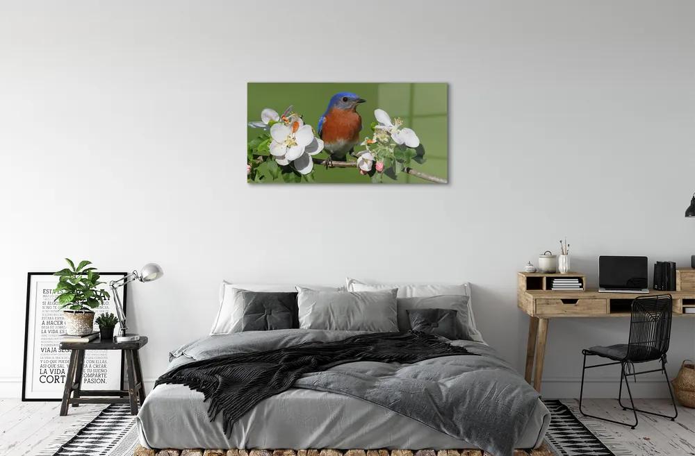 Sklenený obraz Kvety farebné papagáj 125x50 cm