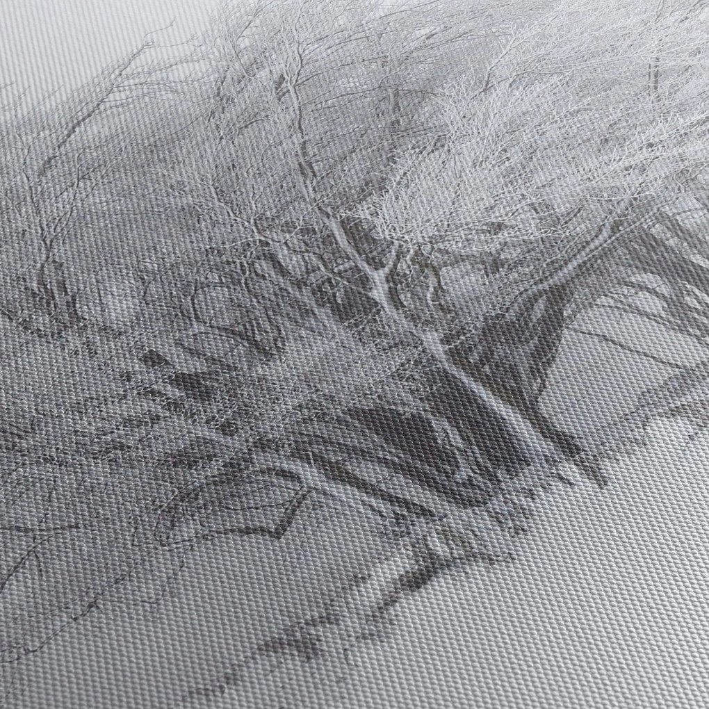 Obraz - Biela zima (150x105 cm)