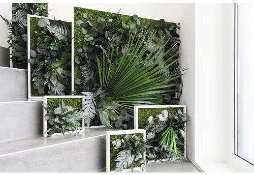 Obraz z rastlín styleGREEN Džungľa 35x35 cm