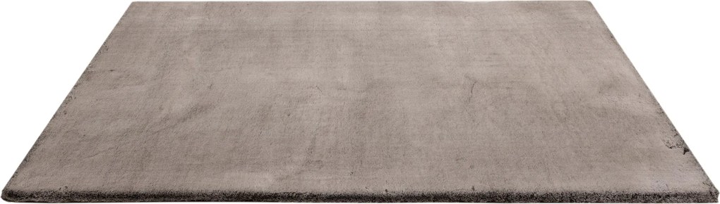 Kusový koberec Eternity 500 Wallnuss, 80x150, šedá, obývacia izba, Obsession