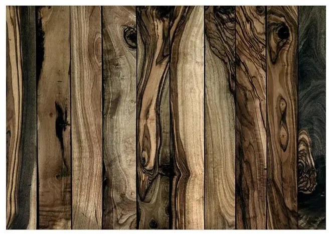 Fototapeta - Olive Wood Veľkosť: 200x140, Verzia: Standard