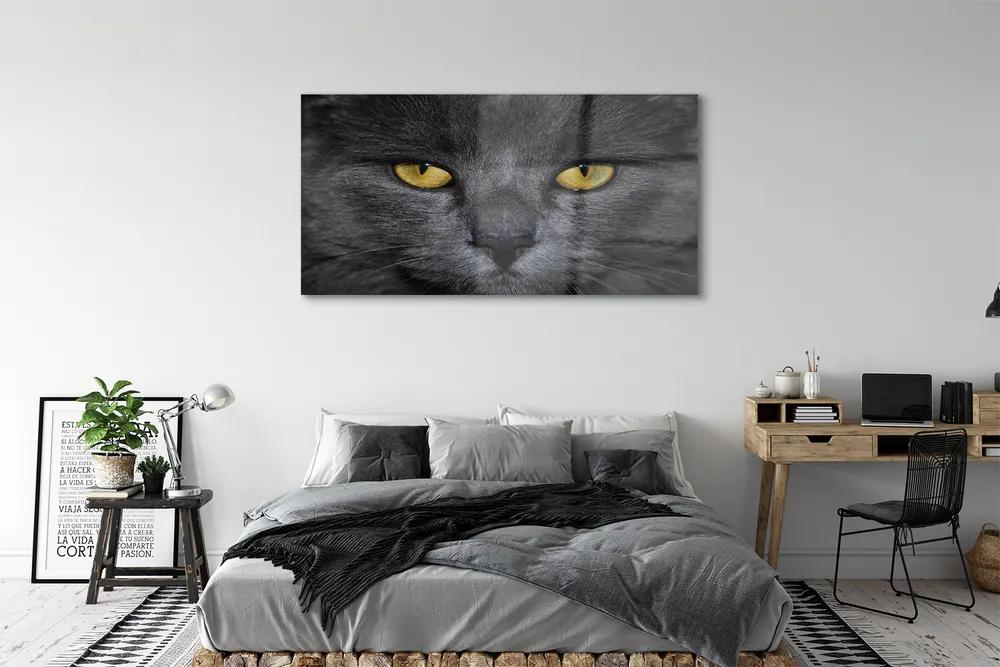 Obraz na akrylátovom skle Čierna mačka 140x70 cm