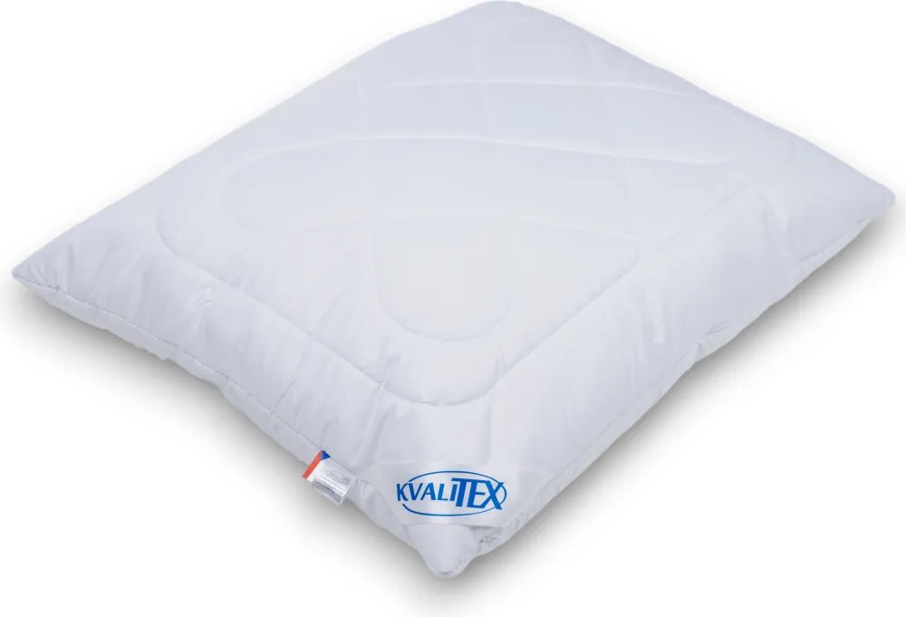 Kvalitex Vankúš Aloe Vera Alaska zips, 70 x 90 cm
