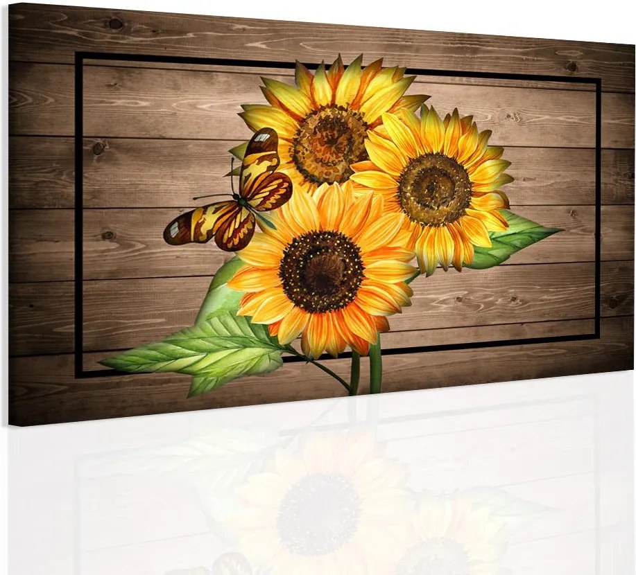 InSmile Obraz slunečnice na dřevě 90x60 cm