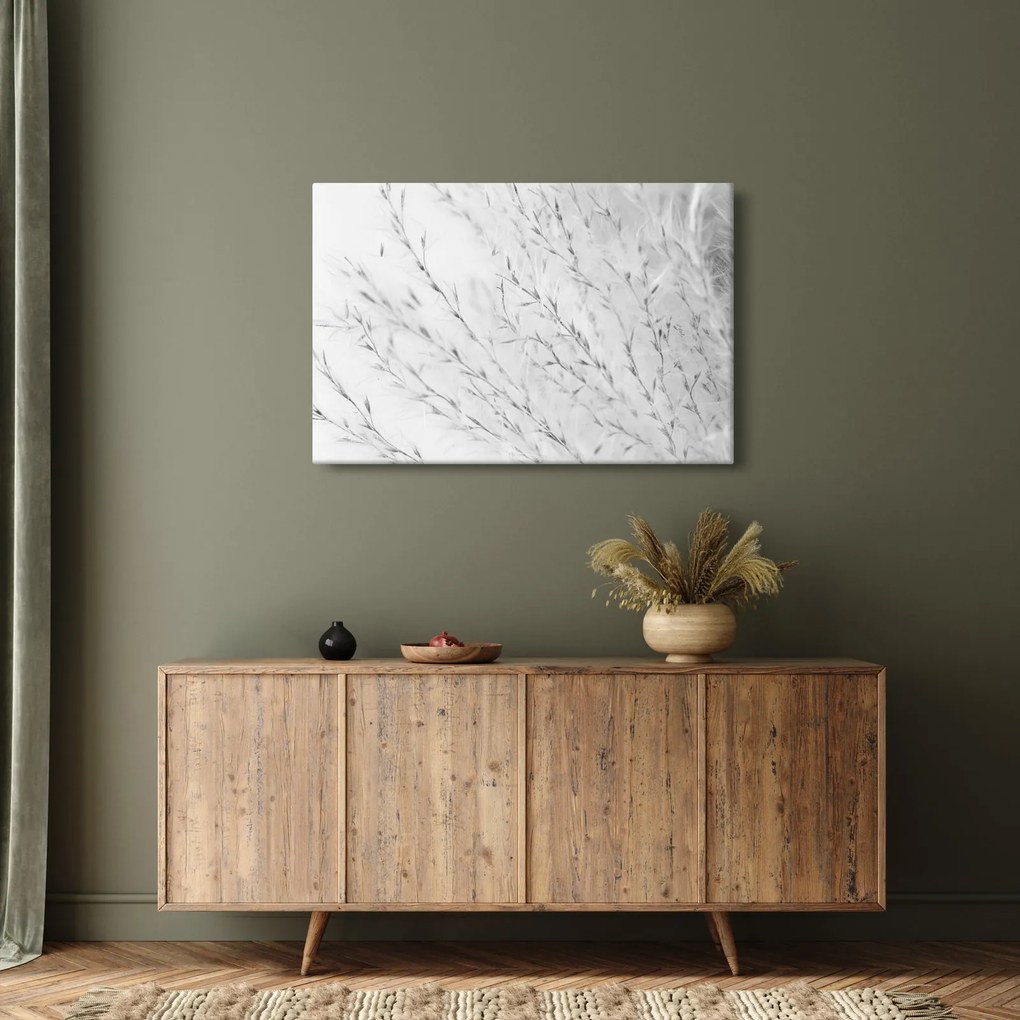 Obraz - Pampas grass N⁰2 (90x60 cm)