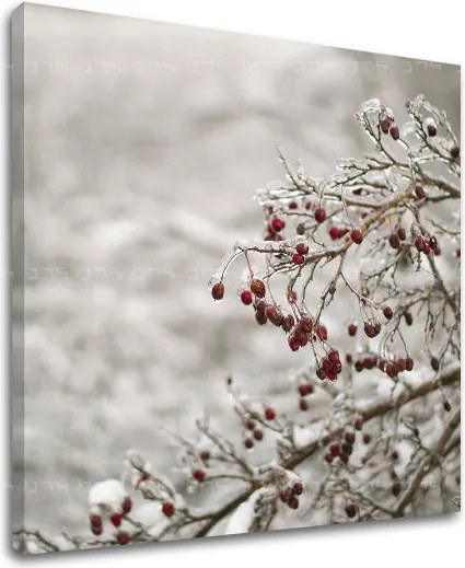 Obraz na stenu STROMY