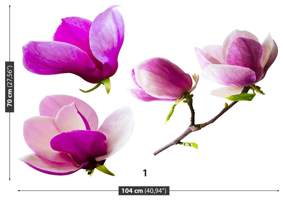 Fototapeta Vliesová Květy magnólie 104x70 cm