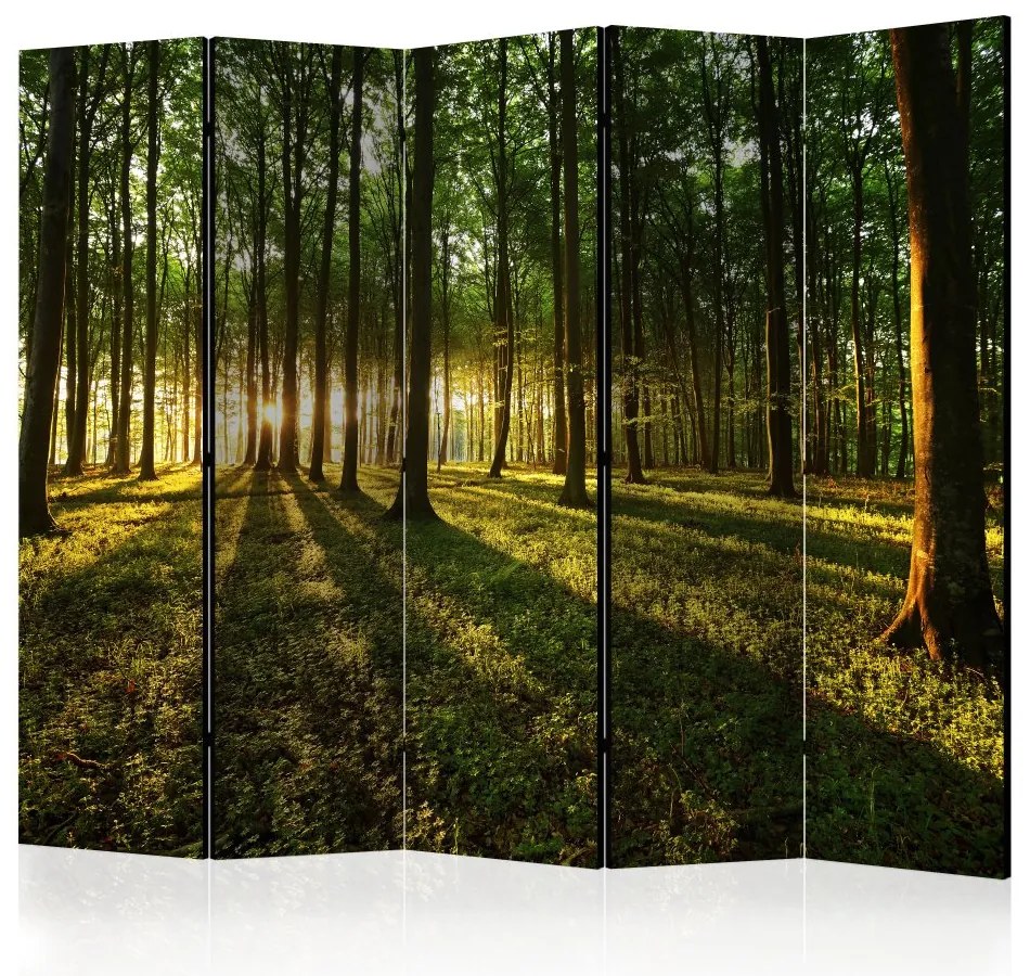 Artgeist Paraván - Morning in the Forest II [Room Dividers]