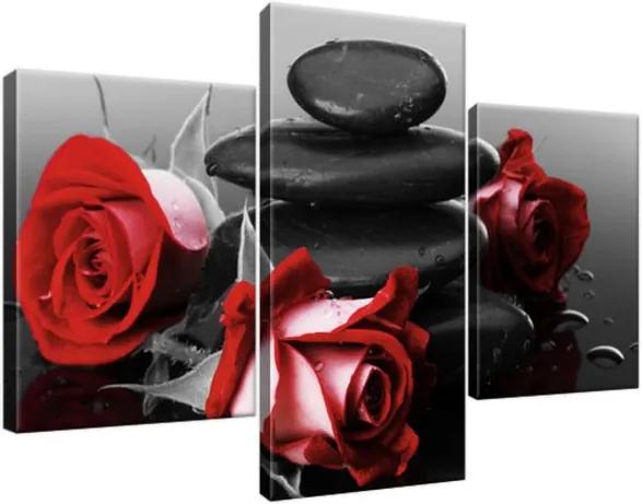 Obraz na plátne Červené ruže a kamene 90x60cm 1705A_3B